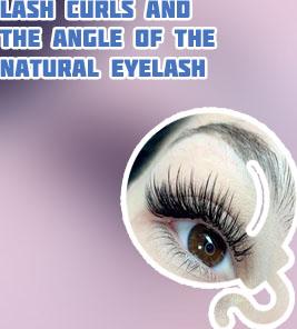 Natural looking hybrid lashes